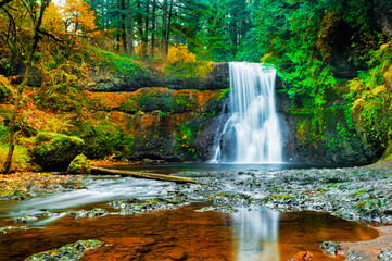 Upper North Falls in Silver Falls State Park - obrazy, fototapety, plakaty