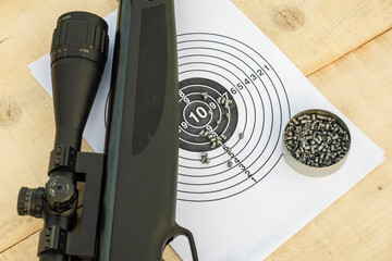 target, airgun and pellets for shooting