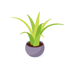 Green cactus in pot isometric - potted houseplant for interior decoration.