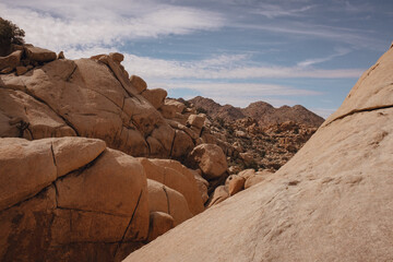 Desert Rocks joshua tree