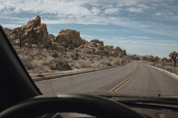 Joshua Tree roads
