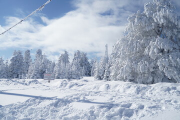 Fototapeta na wymiar Uludag winter landscape snow forest background