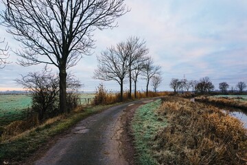 Fototapeta premium country road through the fields on a winter morning