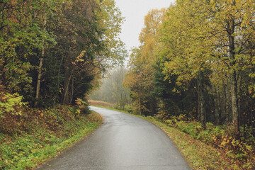 Fototapeta premium road in autumn forest