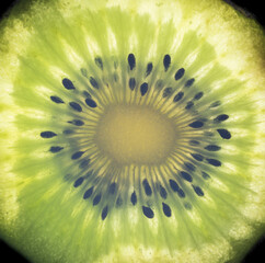 Closeup of a green kiwi slice detail
