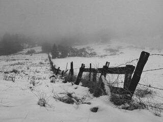 Foggy Winter Farm fence