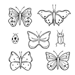 Butterflies and bugs. Vector  illustration.