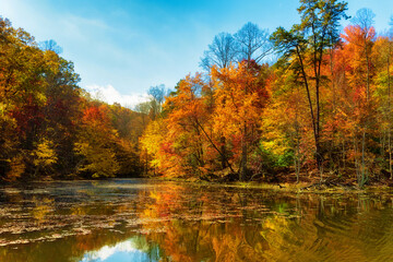 Fototapeta na wymiar Autumn Colors Along the Shore of Bays Mountain Lake