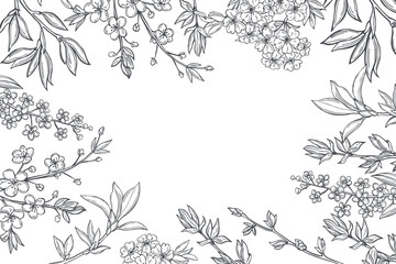 Spring branches with flowers. Vector  background.