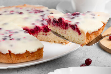 Homemade cake with cranberries and sour cream. Piece of pie close up