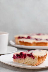 Homemade cake with cranberries and sour cream. Piece of pie close up. Vertical image