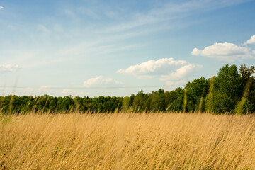 Krajobraz © Grzesiek