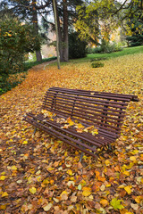 bench in autumn park