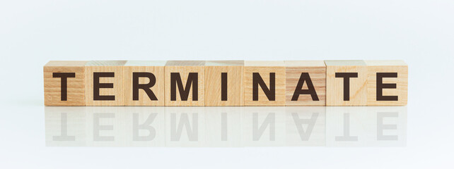 Wooden blocks with the text: TERMINATE. The text is written in black letters and is reflected in the mirror surface of the table.