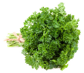 green fresh parsley isolated on white background. parsley bunch. full depth of field