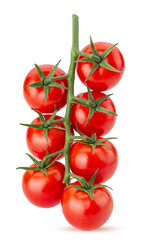 Big branch of fresh red tomato with green leaves