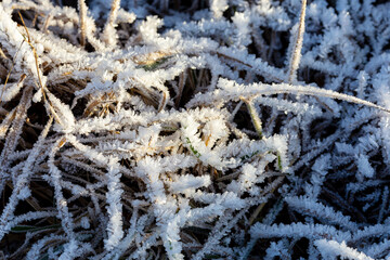 Winter, frost in large flakes of crystals lies on the grass in the light of the evening sun, background.