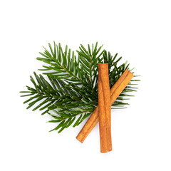 Pine cones and fir tree branch on a white background.