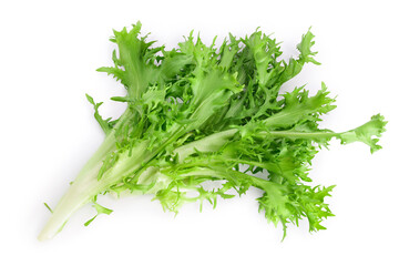 Fresh green leaves of endive frisee chicory salad isolated on white background with clipping path and full depth of field. Top view. Flat lay - obrazy, fototapety, plakaty