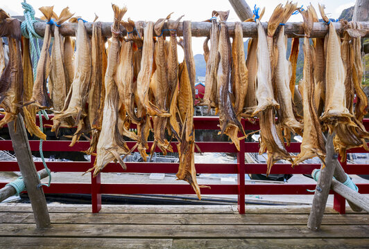 Norwegian Stockfish/stock Fish Cod 
