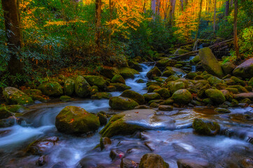 Roaring Fork Motor Trail in the Smokey Mountains