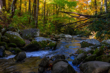 Roaring Fork Motor Trail in the Smokey Mountains