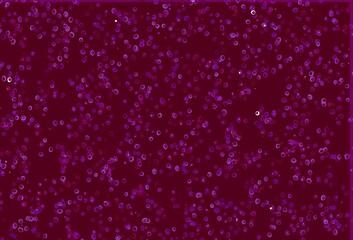 Light Purple vector backdrop with dots.