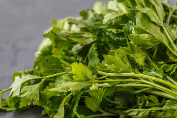 Parsley growing in the garden. Petroselinum. Close-up parsley leaves. Growing herbs.bunch of green fresh fragrant parsley.