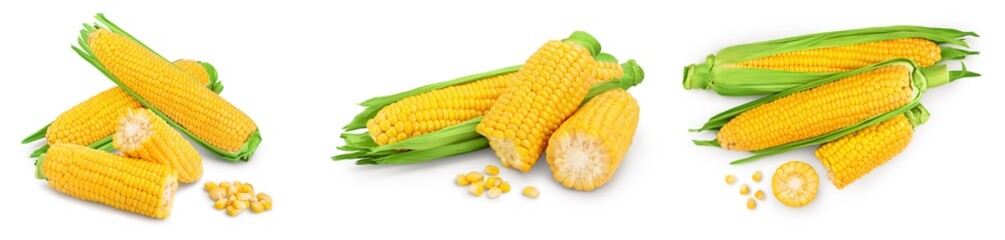 ear of corn isolated on a white background. Clipping path and full depth of field. Set or collection