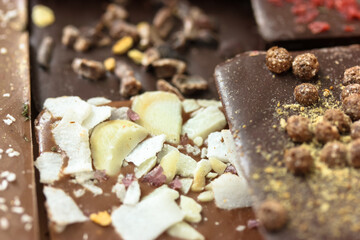 Handmade milk and dark chocolate bars with nuts, herbs and flowers isolated. No people