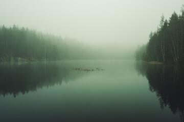 Misty morning by the forest lake. Trees and surroundings are reflected on the water surface.