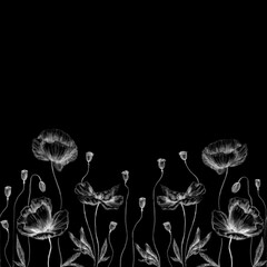 White poppies frieze on black background for different kind of design