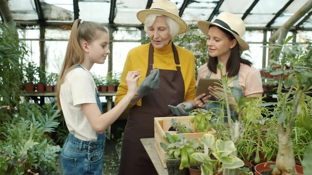 Slow motion of people farmers adults and kid talking looking at plants and writing in notebook in hothouse. Agriculture and family business concept.