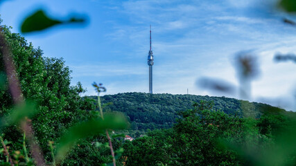 Obraz premium Avala mountain in Belgrade, Serbia with blue sky and white clouds. Summer day at the mountain.