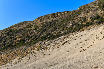 Fototapeta na wymiar Sycamore Cove Beach - Malibu, California
