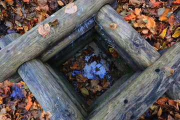 og well in forest