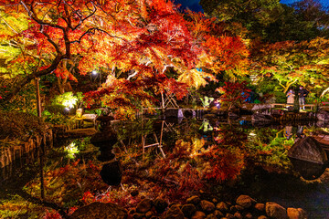 鎌倉長谷寺の紅葉ライトアップ