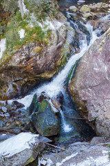 Quick stream in Tatra nature reserve