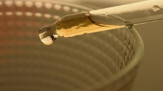 Dropper ft0212_0226 드로퍼 Faʻaseʻe