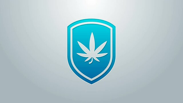 Blue line Shield and marijuana or cannabis leaf icon isolated on grey background. Marijuana legalization. Hemp symbol. 4K Video motion graphic animation