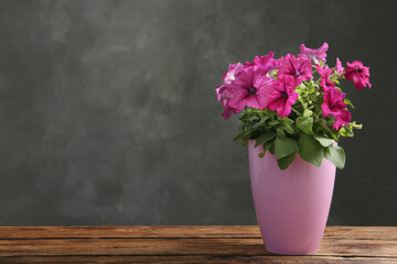 Fototapeta na wymiar Beautiful pink petunia flowers in plant pot on wooden table against grey background. Space for text