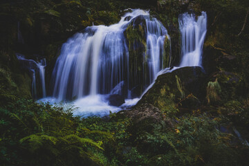 Fototapeta premium Watery Hand