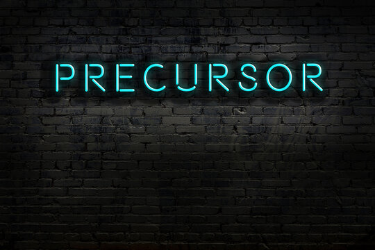 Night view of neon sign on brick wall with inscription precursor