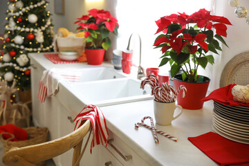 Kitchen counter with dishware and Christmas decor