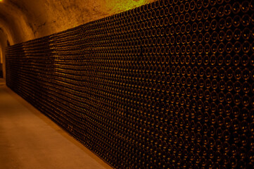 Champagne grand cru sparkling wine production in bottles in rows in underground cellars, Reims, Champagne, France