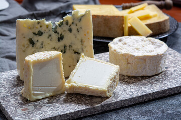 Cheese collection, French cheeses made from goat, cow and sheep melk: semi hard Roquefort blue cheese, soft Chabichou of Poitou and Camembert of Normandy