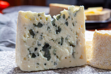 Cheese collection, French semi hard Roquefort blue cheese made from sheep milk in region Roquefort-sur-Soulzon, France