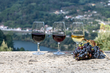 Outdoor tasting of different fortified port wines in glasses in sunny autumn, Douro river Valley, Portugal