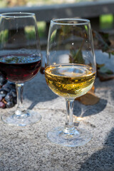 Outdoor tasting of different fortified port wines in glasses in sunny autumn, Douro Valley, Portugal