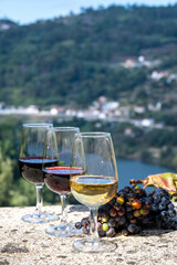 Naklejka na ściany i meble Outdoor tasting of different fortified port wines in glasses in sunny autumn, Douro river Valley, Portugal